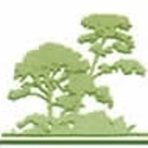 Logo for Tree Lopping Rockingham