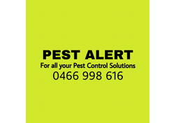 Pest Alert Pest Control Services