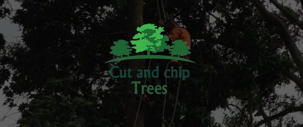 Cut and Chip Tree Service