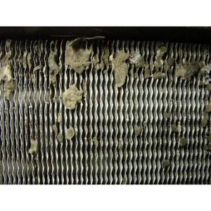 Mould Contaminated Coil