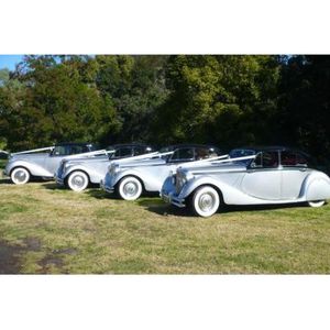 Old and Classic English Cars for Weddings Sydney