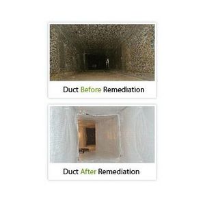 Before & After Mould Remediation