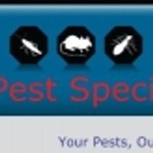 Logo for Cheap Pest Control Northmead
