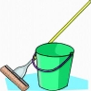 Logo for Cleaning Services Mitchell