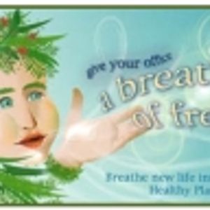 Logo for A Breath Of Fresh Air
