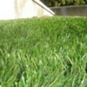 Logo for Artificial Grass by Southern Hydroseeding Melbourne