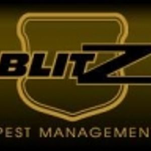 Logo for Blitz Pest Control Northern Beaches