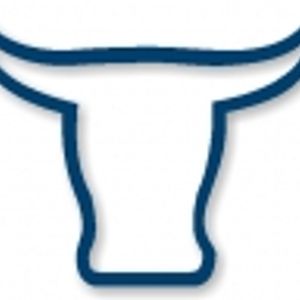 Logo for Bullbars & Towbars Sydney