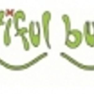 Logo for Online Flowers Perth