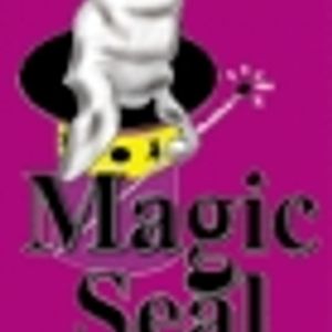 Logo for Magic Seal Paint & Fabric Protection Wollongong