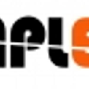 Logo for Simple Net Pty Ltd