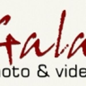 Logo for Sydney Wedding Photography