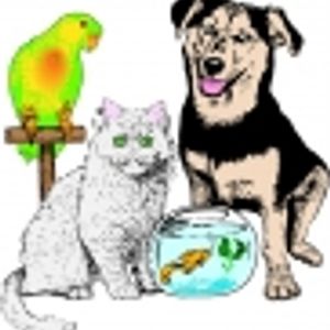 Logo for Rhuarc's Pet Supplies