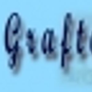 Logo for Welcome Inn Grafton