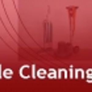 Logo for With Style Cleaning Services Brisbane