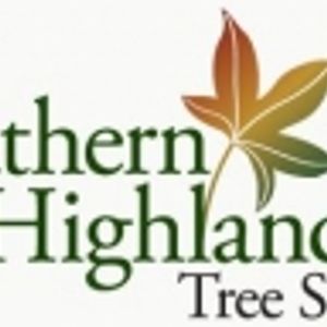 Logo for Tree Services Southern Highlands