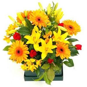 Summer Fun box filled with bright happy coloured flowers a great gift surprise!