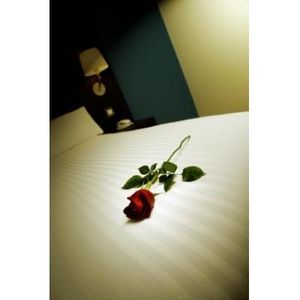 Red Rose and chocolates + 2 hour cleaning service