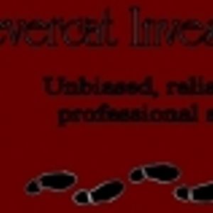 Logo for Clevercat Investigations