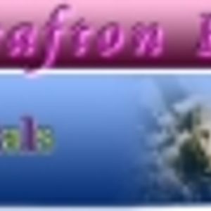 Logo for Grafton Pink Petals Florist - Flowers Grafton