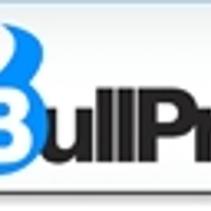 Logo for Bullprint Pty Ltd
