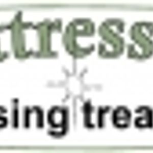 Logo for The Mattress Doctor