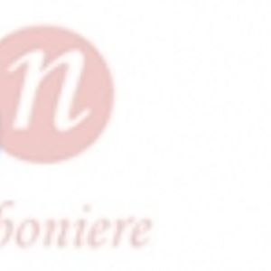 Logo for Sonboniere