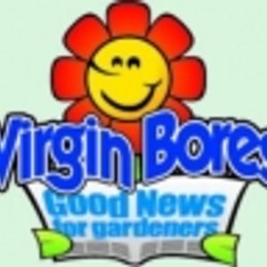 Logo for VIRGIN BORES