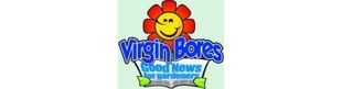 Virgin Bores Logo