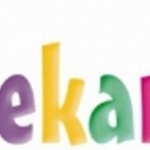 Logo for Inekards Flashcards