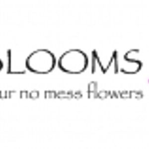 Logo for Silky Blooms