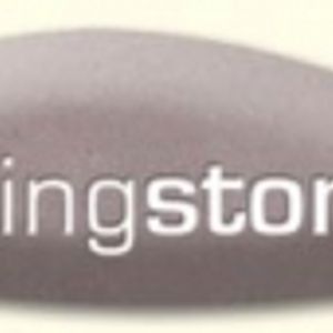 Logo for talkingstones