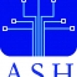 Logo for Ash Electronics