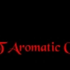 Logo for P & T Aromatic Candles