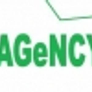 Logo for The Lost Agency
