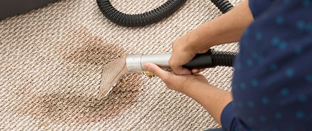 City Carpet Cleaning Hobart