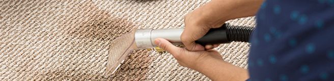 City Carpet Cleaning Hobart