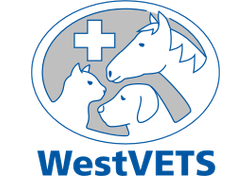 Westvets Veterinary Practice