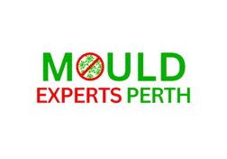 Mould Experts Perth