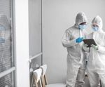 Mould Experts Canberra