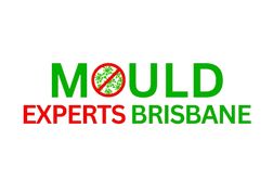Mould Experts Brisbane