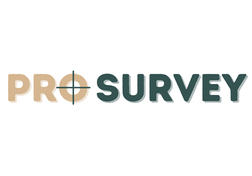 Pro Surveying Services
