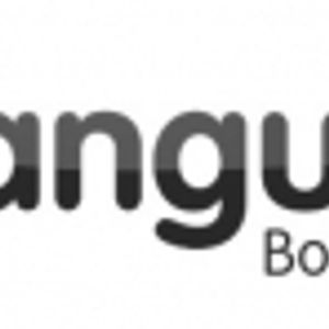 Logo for Vanguard Bookkeeping