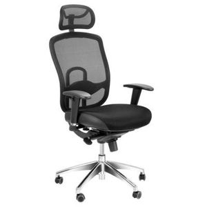 Ergonomic Lumbar Support, Adjustable Arm Rests and Head Rest. Available from MojoDirect.com.au