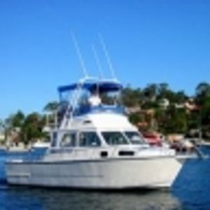 Logo for Deep Sea Fishing Charters & Sydney Coastal Tours