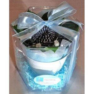 Navy Baby Gift Pot presented in a clear gift box
