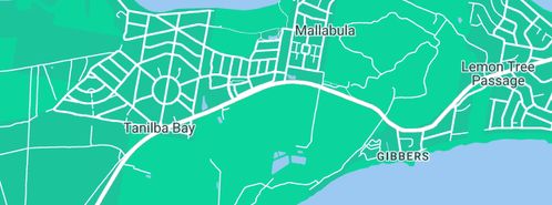 Map showing the location of Wild About Pets in Mallabula, NSW 2319