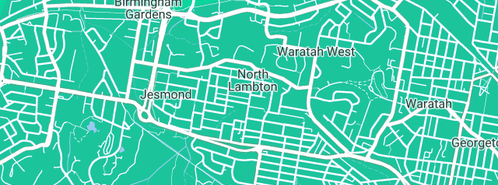 Map showing the location of MyBaby Baby Names Portal in North Lambton, NSW 2299